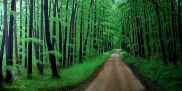 Испанского медработника отыскали живым в лесу спустя 20 лет после исчезновения