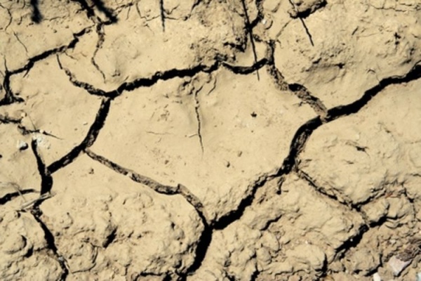 Проблемы засухи в Джанкойском районе Крыма решают воронежские ученые