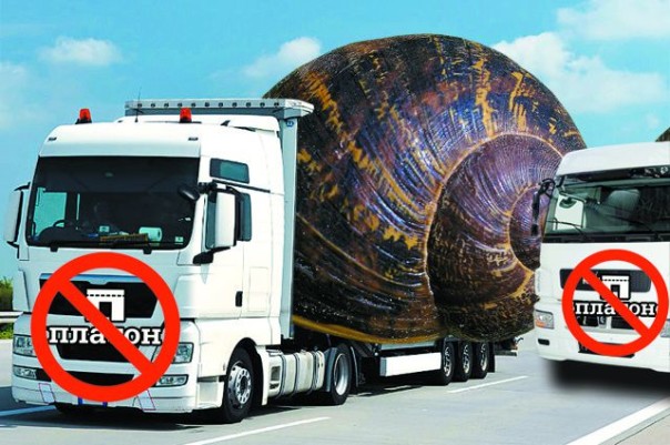 Вероника Такмовцева	
				АиФ-Петербург