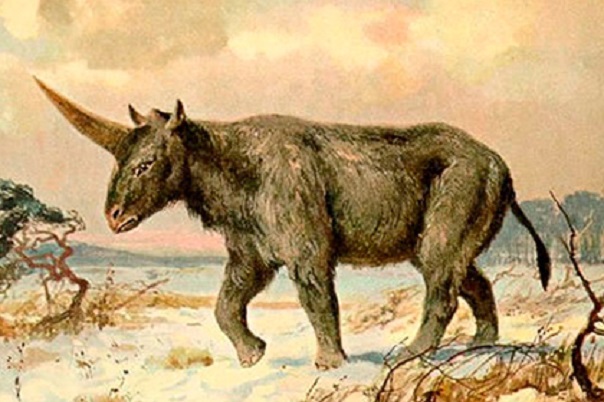 Люди и «единороги» могли существовать на Земле в одно время