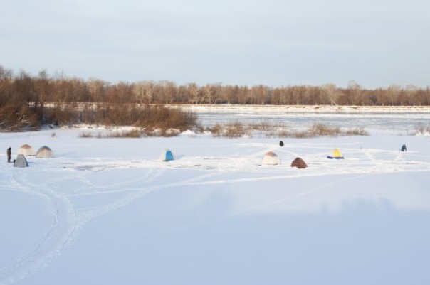 Александра Горбунова	
			 АиФ