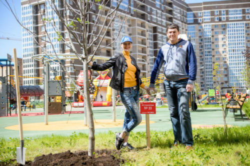 В основном округе высадят новые деревья и кустарники