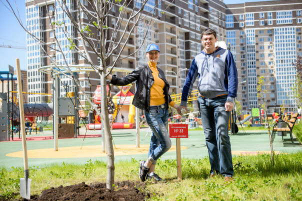 В основном округе высадят новые деревья и кустарники