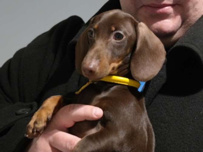 В частных авиакомпаниях поведали о необыкновенных клиентах и их просьбах