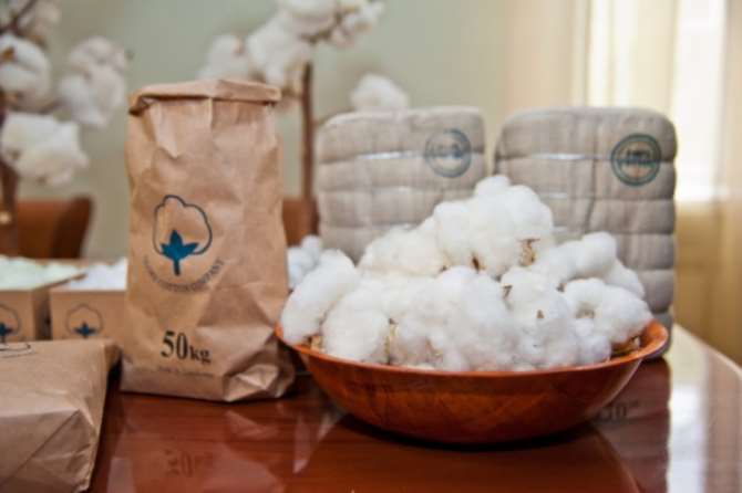 В Волгоградской области решили растить больше хлопка