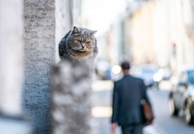 Эквадор частично закончил изоляцию Ассанжа в посольстве в столице Англии