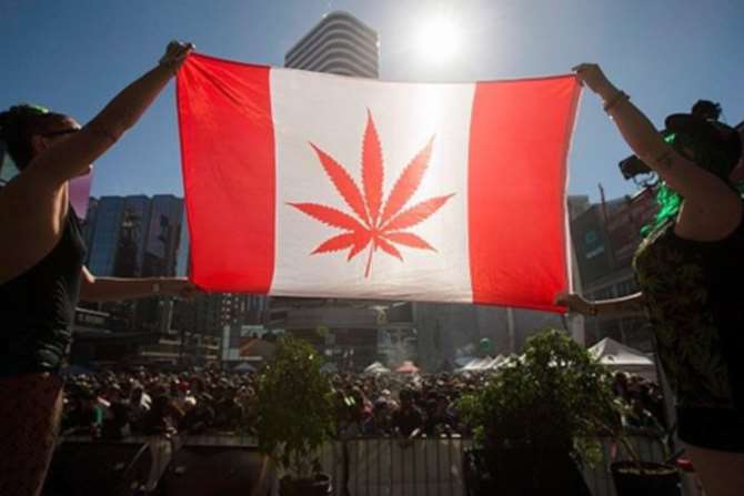 В Канаде легализовано хранение и использование марихуаны в рекреационных целях