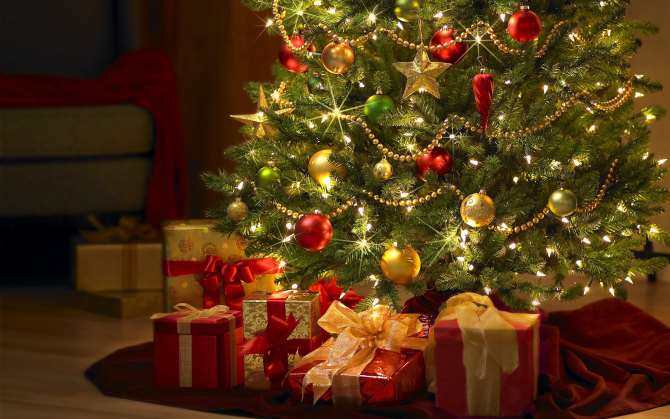 В Германии ребёнок остался недоволен рождественскими подарками и вызвал полицию