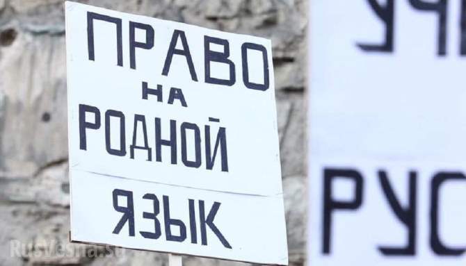 «За Ушакова»: Ратушная площадь пестрит плакатами в поддержку главы города