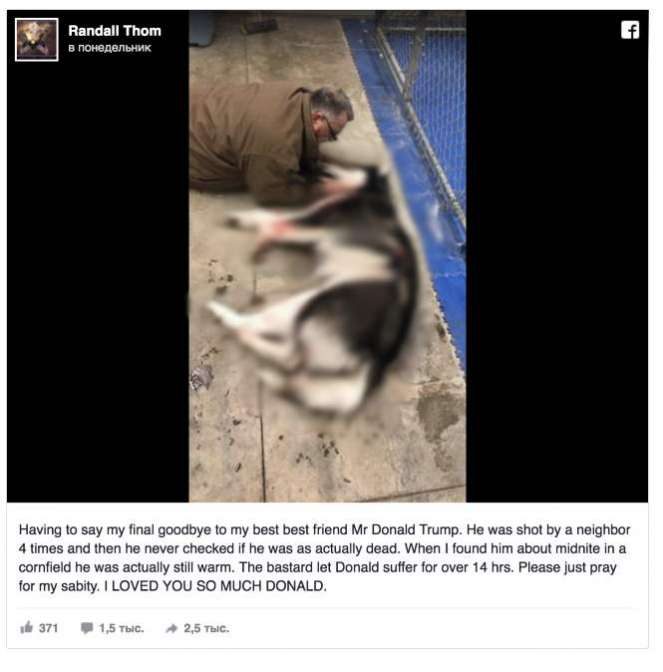 В Миннесоте застрелили собаку по кличке Трамп