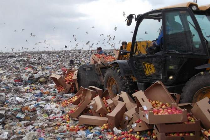 Путин пояснил, почему санкционные продукты не раздают людям, а убивают