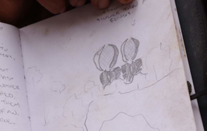 Близкий контакт третьего рода: охотники на оленей напоролись на Хищников?