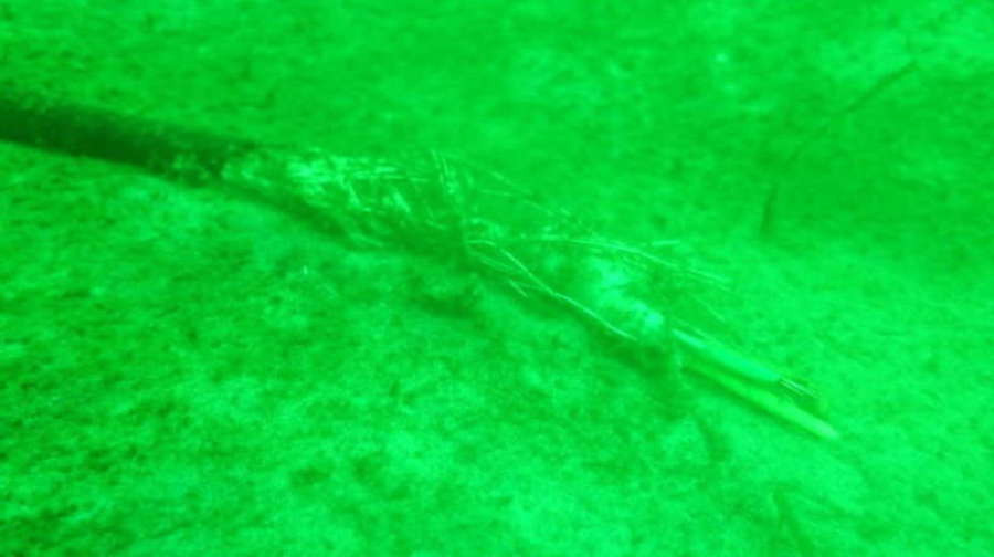 Кто украл немецкую научную станцию со дна моря?