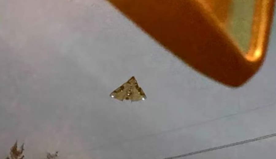 Секретный самолёт Пентагона TR-3B Секретный самолёт Пентагона TR-3B