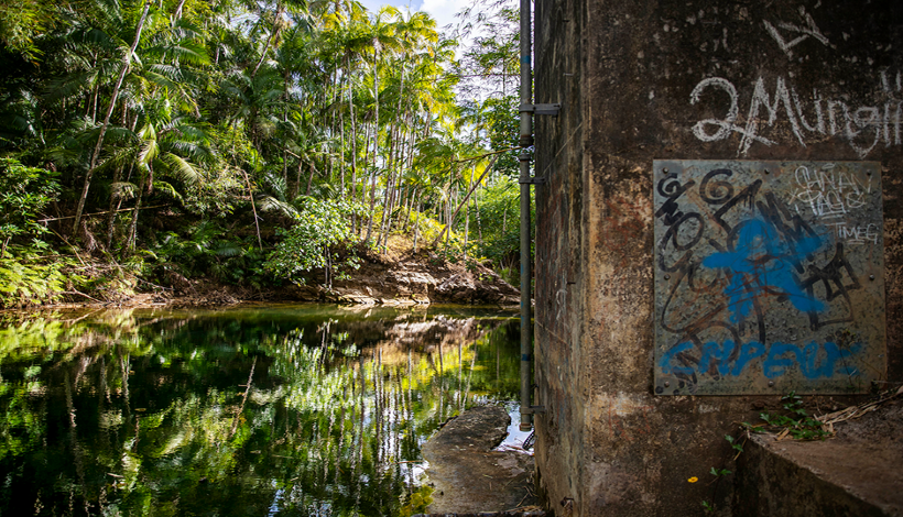 Водоем возле реки Лонфит, в котором жертвы подвергались сексуальному насилию Фото: David Goldman / AP