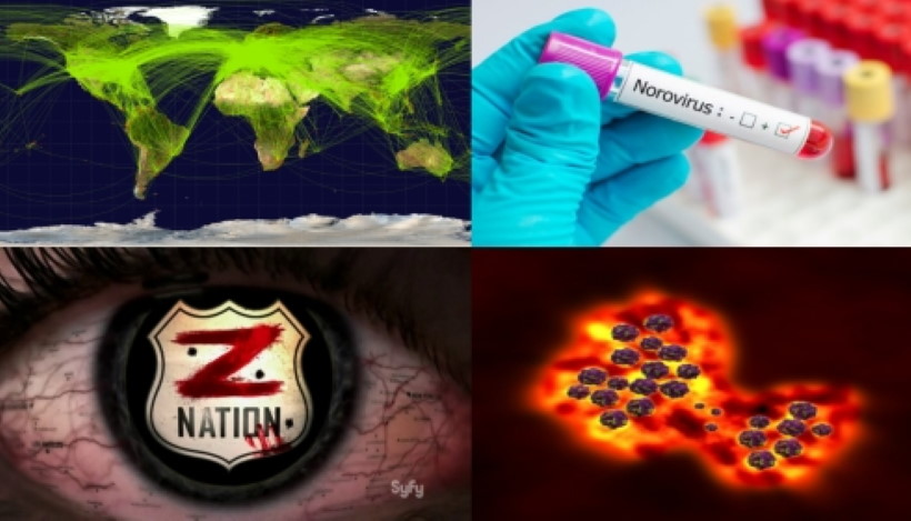 Норовирус распространился по всей планете.