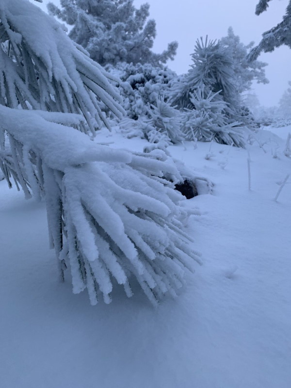 В Калифорнии -5 ° C, в Якутии -50 ° C