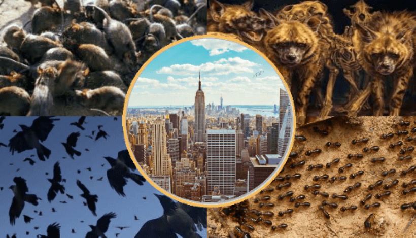 Орды падальщиков повсеместно выползают из своих нор. Чего они ждут?