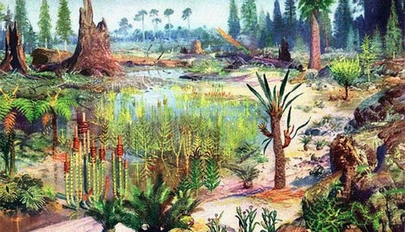 Климат Земли собирается сдвинуться в прошлое