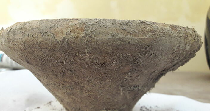 Керамика и кости, предположительно принадлежащие хараппской цивилизации, найденной в Индии