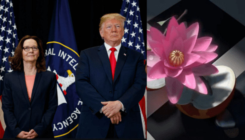 В Соединенных Штатах новый вице-президент?