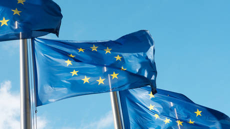 Брюссель начал судебное разбирательство по делу о нарушении прав Австрии и других стран за невыполнение правил ЕС по борьбе с терроризмом - RT World News