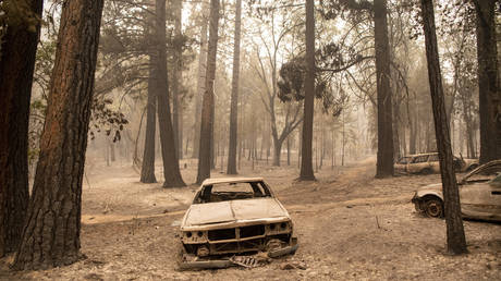 Экологические угрозы - самое большое препятствие для прав человека, предупреждает глава ООН - RT World News