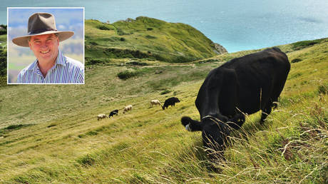 Вице-премьер заявил, что австралийским фермерам пришлось бы застрелить свой скот, если бы к 2030 году правительство ввело ограничения на выбросы метана - RT World News