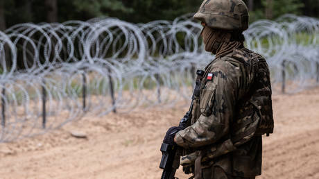 Евросоюз должен быть забором, заявил член блока - RT World News