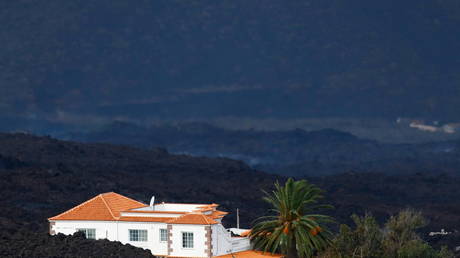 Из-за опасности, большей, чем Covid, сняли карантин - RT World News