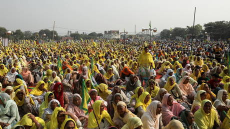 Правительство разворачивает спорный закон, вызвавший массовые митинги - RT World News