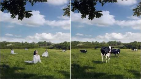 Компания приносит свои извинения за сравнение женщин с коровами (ВИДЕО) - RT World News