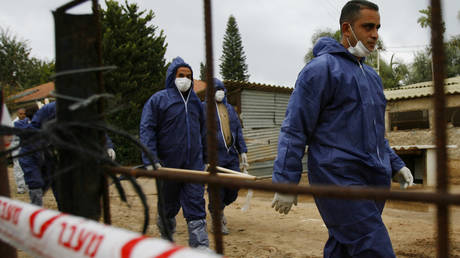 Опасения, что штамм птичьего гриппа `` прыгнет '' на людей в условиях массовой вспышки - RT World News