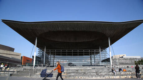 Правительство Уэльса возмущено идеей разбудить `` помешательство '' - RT World News