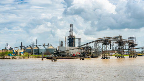 Разорванный трубопровод убивает тысячи животных — RT World News