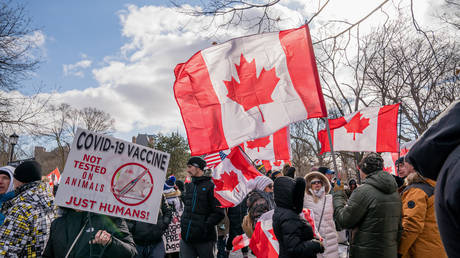 Губернаторы и премьеры хотят, чтобы мандат дальнобойщиков на вакцинацию был отменен — RT World News