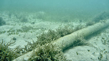 Meta установит спорный кабель морского дна — RT World News