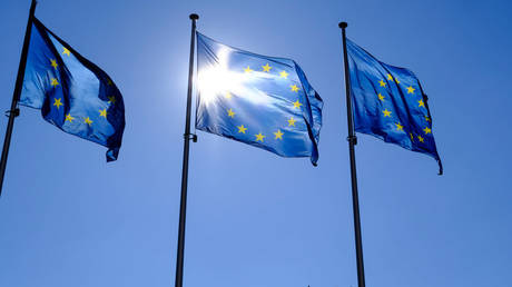 ЕС вводит новые санкции против России и Беларуси — RT World News