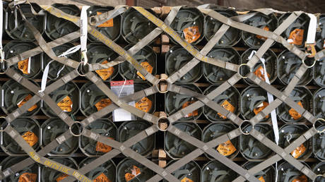 Германия должна прекратить поставки оружия в Украину — политики, общественные деятели — RT World News