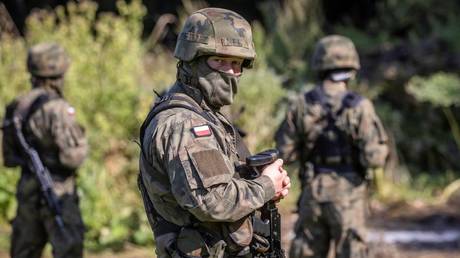 Польша опровергает секретный план для Украины — RT Россия и бывший Советский Союз