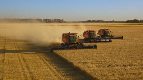 Сенаторы призывают открыть незалежные земли США для посевов на фоне украинского кризиса — RT World News
