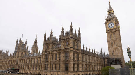 Депутат арестован по обвинению в изнасиловании — RT World News