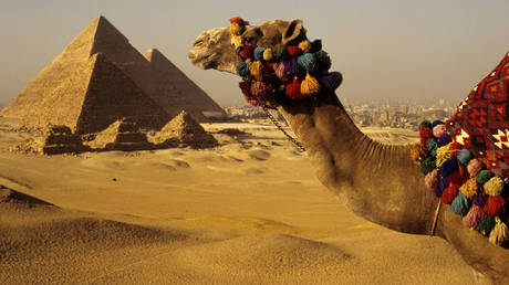 Египет оценивает влияние кризиса на Украине — RT Business News