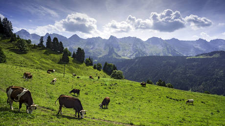 Франция присматривается к сельскохозяйственным отходам, чтобы заменить российский газ — RT Business News