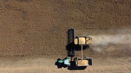 G7 обещает помочь странам, которым грозит продовольственный кризис — RT World News