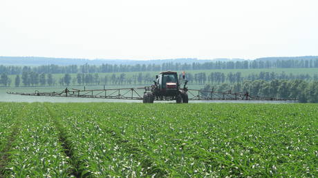 Как фермеры мира стали побочными жертвами санкций против России — RT World News