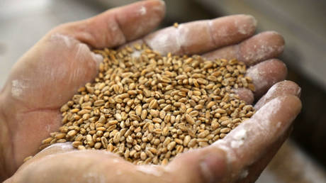 Кремль возлагает вину за надвигающийся продовольственный кризис — RT Россия и страны бывшего СССР