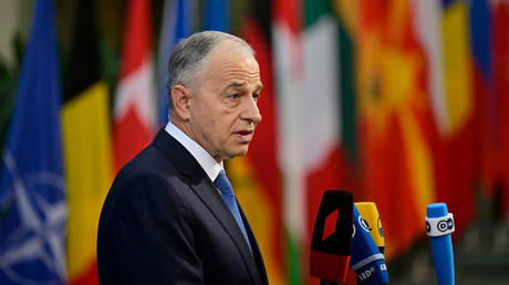 НАТО «уверена» в преодолении возражений Турции — RT World News