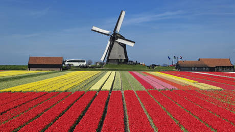 Россия может прекратить поставки газа в Нидерланды — RT Business News