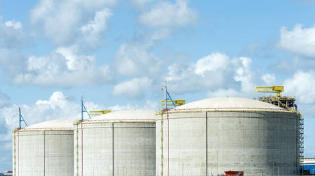 Россия приостановила поставки газа в Нидерланды — RT Business News